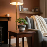 cache po noir et blanc dans un salon cosy