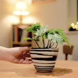 cache-pot noir et blanc en porcelaine